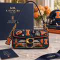 Illinois Fighting Illini Coach Shoulder Cross With Charm